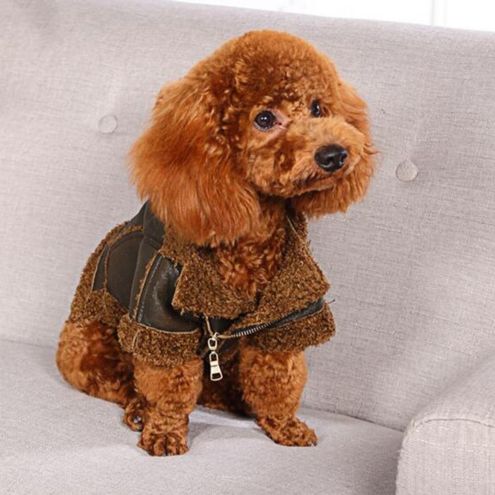 Dog Warm Coat Thickened Dog Le - Motorcycle Gear Dogs recension och pris
