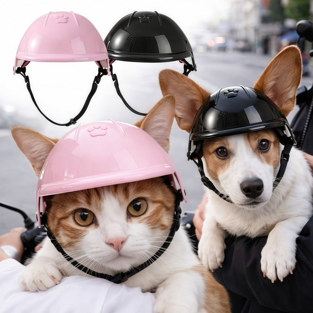 Funny Adjustable Dog Cat Helme - Motorcycle Gear Dogs recension och pris