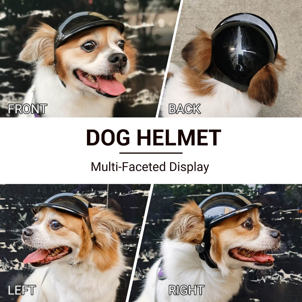 Funny Adjustable Dog Cat Helme - Motorcycle Gear Dogs recension och pris